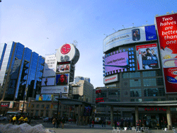 View from Yonge and Dundas Square (Photo by Duncan McAllister)