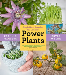 Power-Plants-cover